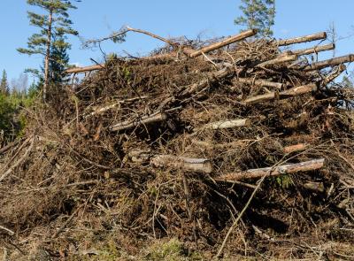 Torrefierad GROT som ersättningsmaterial för torv och biokol