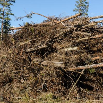 Torrefierad GROT som ersättningsmaterial för torv och biokol